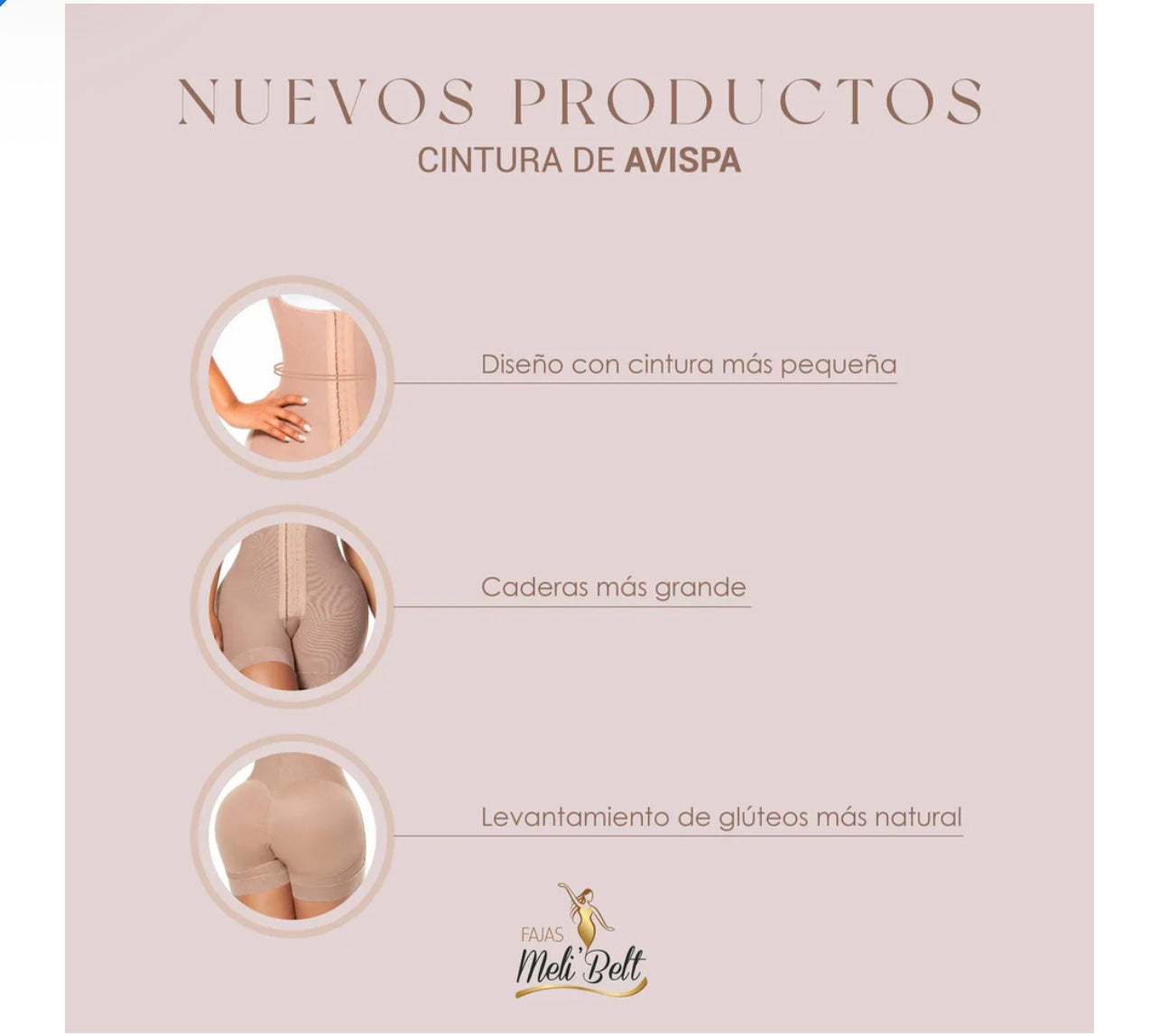 2027 cintura de avispa