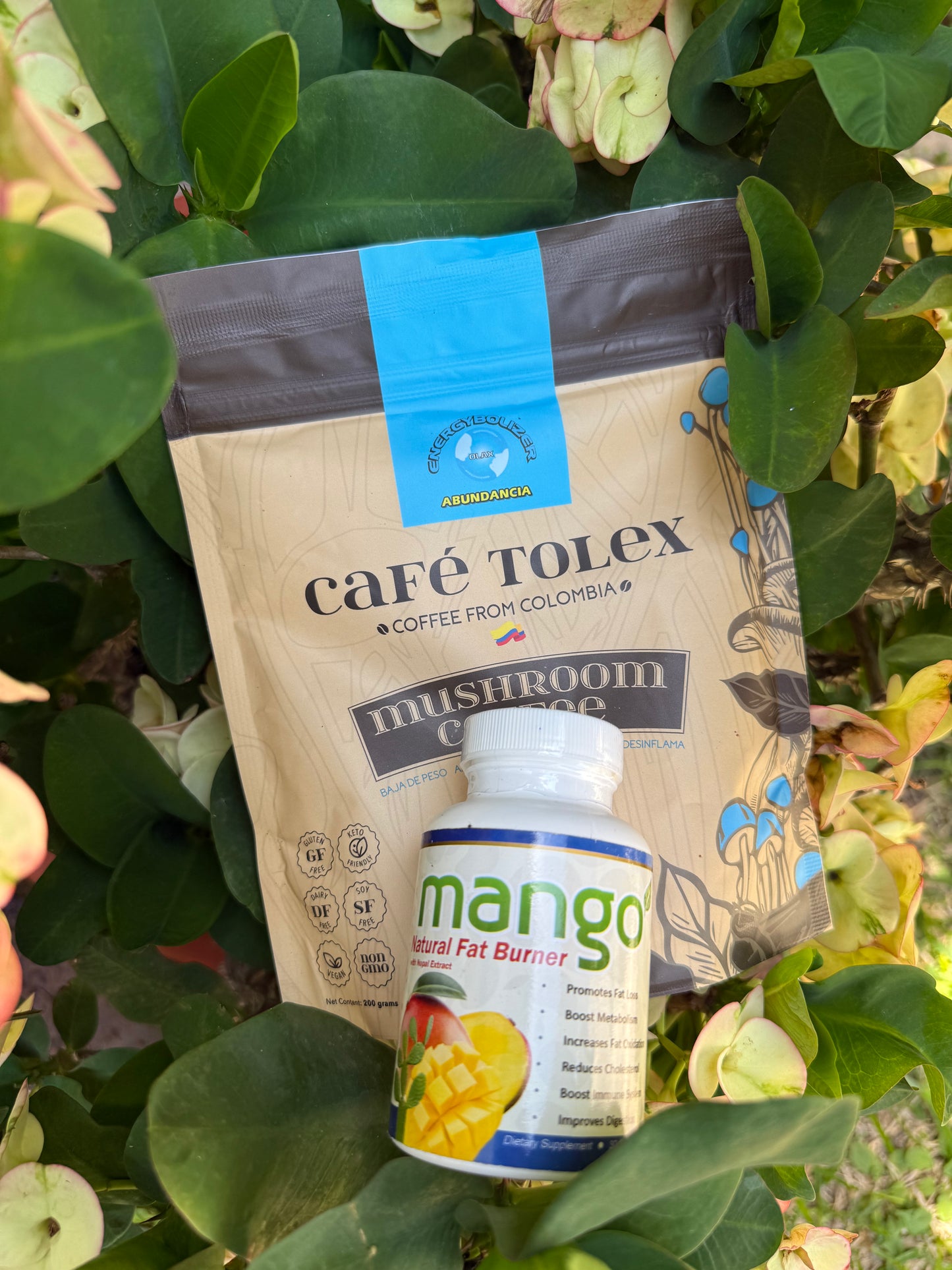 Compra Café Tolex y recibe gratis African Mango + o Mango w nopal extract —#promopack