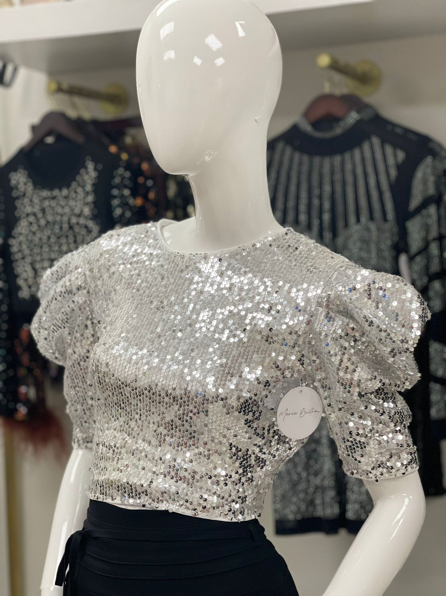 Silver Sequence Cropped Top