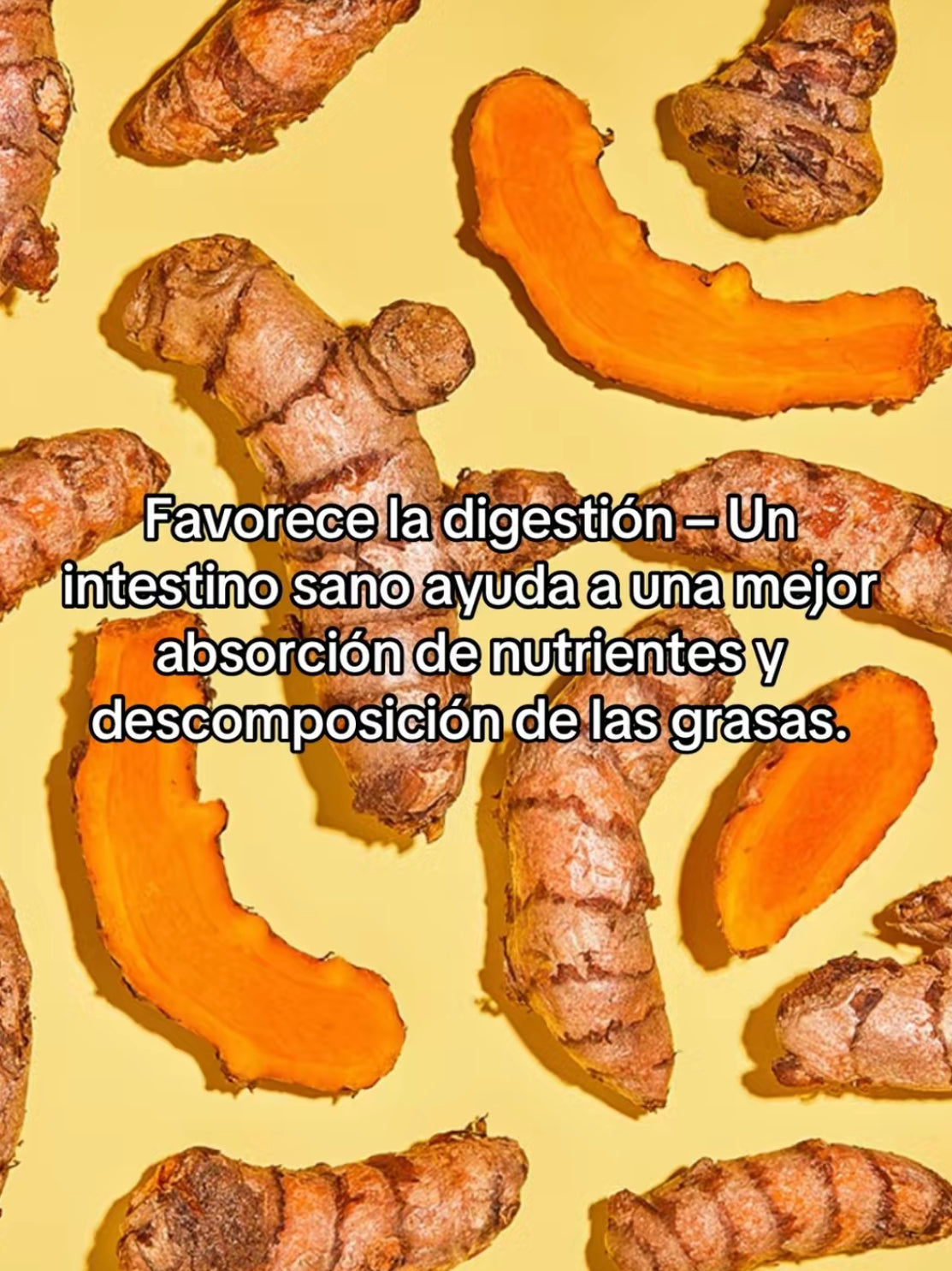 Cápsulas de Curcuma