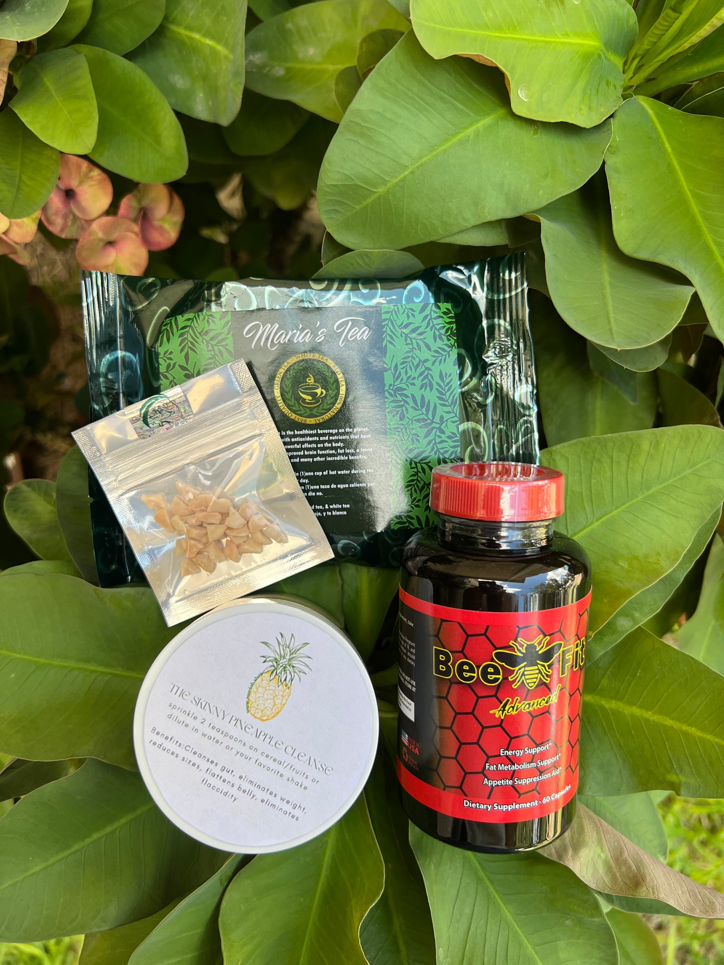 Cleanse + Bee Fit Advanced Kit para un mes